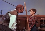 Сцена из фильма Мальчик и пираты / The Boy and the Pirates (1960) Мальчик и пираты сцена 7