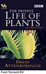 BBC: Невидимая жизнь растений / The Private Life of Plants (1995)
