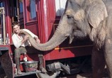Сцена из фильма Воды слонам! / Water for Elephants (2011) 