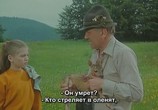Сцена из фильма Некоторые птицы никогда не долетят / Ptice koje ne polete (1997) 
