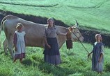 Сцена из фильма Коровы / Vacas (1992) 