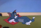 Сцена из фильма Том и Джерри: Самые интересные / Tom and Jerry (1941) Том и Джерри: Самые интересные сцена 1