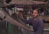 Сцена из фильма Discovery: Гигантские чудовища: Тираннозавр с глубин / Mega Beasts: T-Rex Of The Deep (2009) Discovery: Гигантские чудовища: Тираннозавр с глубин сцена 3