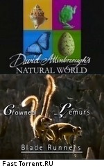BBC: Наедине с природой: Коронованные Лемуры