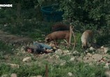 Сцена из фильма Жестокая жизнь / Une vie violente (2017) Жестокая жизнь сцена 17