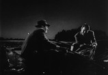 Сцена из фильма Дом у реки / House by the River (1950) Дом у реки сцена 4