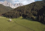 Сцена из фильма Альпы / The Alps (2018) Альпы сцена 5