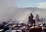 Сцена из фильма Отчаянный ковбой / Cowboy (1958) Отчаянный ковбой сцена 6