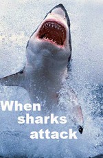 Когда акулы нападают