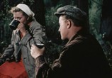 Сцена из фильма Случай в тайге (1953) Случай в тайге сцена 2