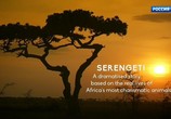 Сцена из фильма Серенгети / Serengeti (2019) Серенгети сцена 12