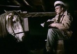 Фильм Беспокойная весна (1956) - cцена 3