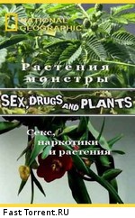 National Geographic : Растения - монстры (Секс, наркотики и растения)