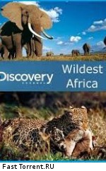 Discovery: В дебрях Африки