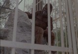 Сцена из фильма Шкура (1992) Шкура сцена 3