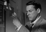 Сцена из фильма Вторжение похитителей тел / Invasion of the Body Snatchers (1956) Вторжение похитителей тел сцена 6