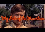 Сцена из фильма Моя сторона горы / My Side of the Mountain (1969) 