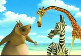 Мультфильм Мадагаскар / Madagascar (2005) - cцена 5