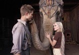 Фильм Воды слонам! / Water for Elephants (2011) - cцена 4