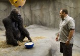 Сцена из фильма Мой парень из зоопарка / Zookeeper (2011) 
