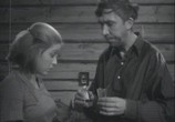Сцена из фильма Когда деревья были большими (1961) Когда деревья были большими сцена 2