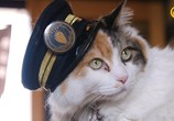 Сцена из фильма Страна кошек / Cat Nation: A Film About Japan's Crazy Cat Culture (2017) Страна кошек сцена 4