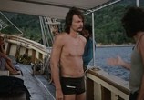 Фильм Спасшиеся с острова Черепахи / Les naufragés de l'île de la Tortue (1976) - cцена 9