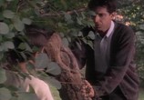 Сцена из фильма Кларенс / Clarence (1990) Кларенс сцена 17