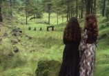 Сцена из фильма Алюкарда / Alucarda, la hija de las tinieblas (1977) Алюкарда сцена 3