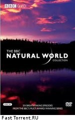 BBC: Мир природы. Последний Гризли Райской Долины