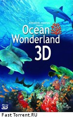 Чудеса океана 3D