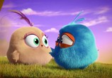Сцена из фильма Сердитые птички. Пушистики / Angry Birds. Blues (2017) Сердитые птички. Пушистики сцена 3