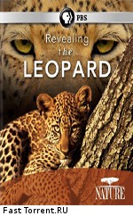 PBS Nature: Тайная жизнь леопарда