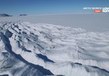 Сцена из фильма Тайны Арктики / Arсtic Secrets (2016) Тайны Арктики сцена 5
