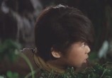 Сцена из фильма Ватари - мальчишка ниндзя / Daininjutsu eiga Watari (1966) Ватари - мальчишка ниндзя сцена 3
