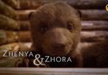Сцена из фильма Бурые медвежата и я / Grizzly Bear Cubs and Me (2018) Бурые медвежата и я сцена 17