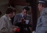 Фильм Коломбо: Роман без окончания / Columbo: Publish or Perish (1974) - cцена 3