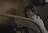Сцена из фильма Год пробуждения / El año de las luces (1986) Год пробуждения сцена 8