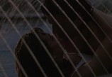 Сцена из фильма Мечты на задворках / Backstreet Dreams (1990) Мечты на задворках сцена 13