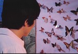 Сцена из фильма Бабочка-убийца / Salinnabileul ggotneun yeoja (1978) Бабочка-убийца сцена 6