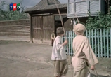 Сцена из фильма Тайна зеленого бора (1960) 