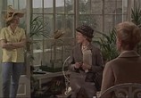 Сцена из фильма Меловой сад / The Chalk Garden (1964) Меловой сад сцена 3