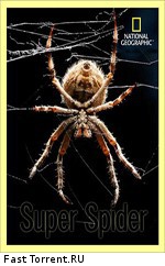 National Geographic. Супер паук
