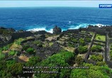 Сцена из фильма Морские гиганты Азорских островов / Giants of the Atlantic Azores (2016) Морские гиганты Азорских островов сцена 3