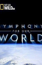 Симфония нашего мира