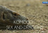 Сцена из фильма Драконы с острова Комодо. История любви / Komodo: Sex And Dragons (2018) Драконы с острова Комодо. История любви сцена 1