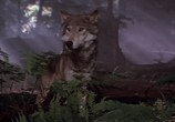 Сцена из фильма Клан Пещерного Медведя / The Clan of the Cave Bear (1986) Клан Пещерного Медведя сцена 3