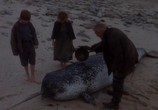 Сцена из фильма Когда прибывают киты / When the Whales Came (1989) Когда прибывают киты сцена 4