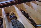 Сцена из фильма National Geographic: Мумии Сицилии / National Geographic: Mummies Sicily (2008) National Geographic: Мумии Сицилии сцена 2