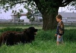 Фильм Мальчик с большой чёрной собакой / Der Junge mit dem großen schwarzen Hund (1986) - cцена 1